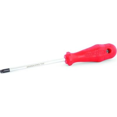 Izeltaş Delikli Torx Uçlu Tornavida TR30
