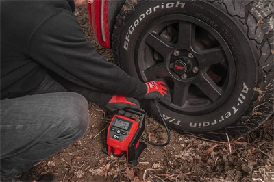 Milwaukee M12 Bı-0 Akülü Hava Pompası T4933464124