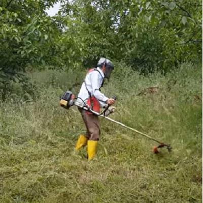 Palmera CG520 Euro5 Motorlu Yan Tırpan