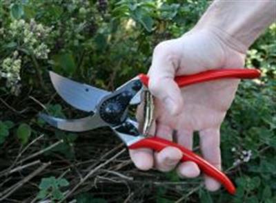 Felco 11 Budama Makası