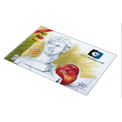 Alex Schoeller Resim Defteri Spiralli 120gr 50x70cm 20 Yaprak