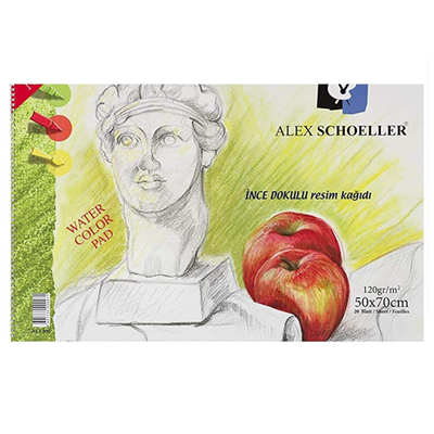 Alex Schoeller Resim Defteri Spiralli 120gr 50x70cm 20 Yaprak