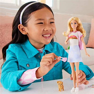 Barbie Seyahatte Bebeği ve Aksesuarları HJY18