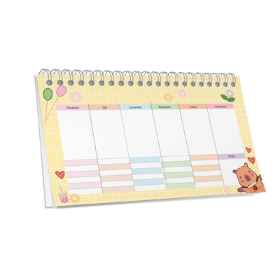 Capy 12,5*19 Spiralli Planner Defter Karışık Renk
