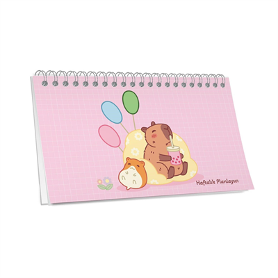 Capy 12,5*19 Spiralli Planner Defter Karışık Renk