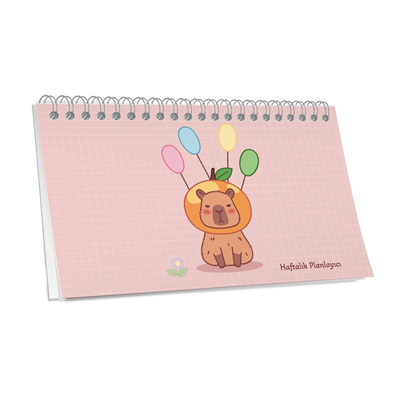 Capy 12,5*19 Spiralli Planner Defter Karışık Renk