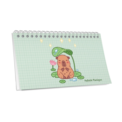 Capy 12,5*19 Spiralli Planner Defter Karışık Renk