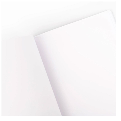 Clairefontaine Age Bag A4 Çizgisiz Defter Taba 79140C