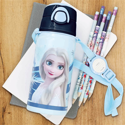 Dısney Frozen Elsa Desenli Çelik Matara 500 ml