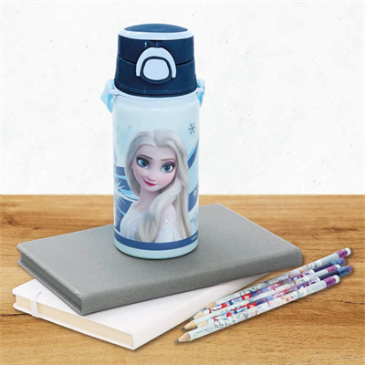 Dısney Frozen Elsa Desenli Çelik Matara 500 ml