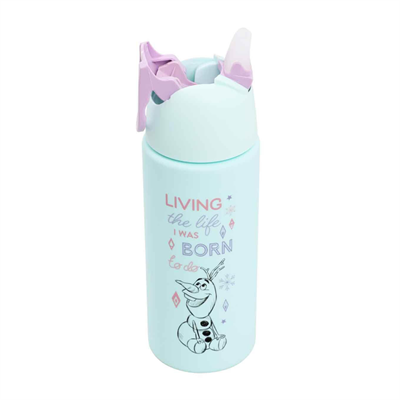 Dısney Frozen Elsa Desenli Matara 500 ml