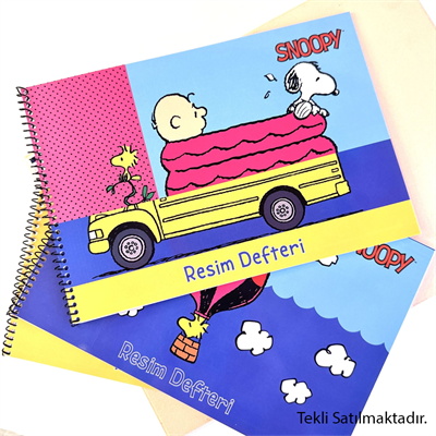 Gıpta Defter Snoopy Sp.Resim Def.17X24-15 Yp.
