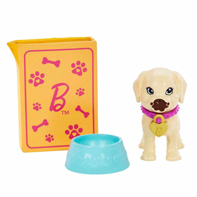 Mattel Barbie Ve Köpekçikleri Oyun Seti