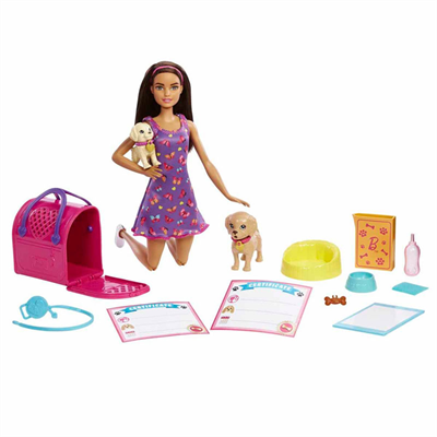 Mattel Barbie Ve Köpekçikleri Oyun Seti