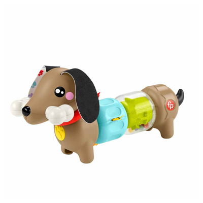 Mattel Fisher Price Köpekçikle Eğlenceli Aktiviteler Htw91