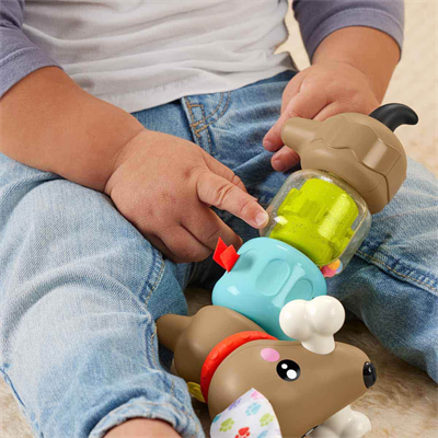 Mattel Fisher Price Köpekçikle Eğlenceli Aktiviteler Htw91