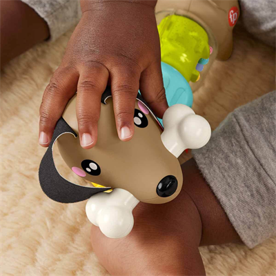 Mattel Fisher Price Köpekçikle Eğlenceli Aktiviteler Htw91