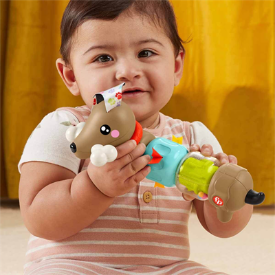Mattel Fisher Price Köpekçikle Eğlenceli Aktiviteler Htw91