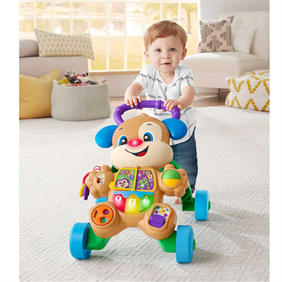 Mattel Yaşa Göre Gelişim Eğitici Köpekçik Yürüteç
