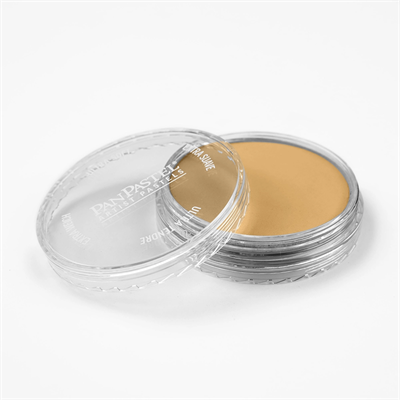 PanPastel-Rich Gold 911,5 Pz-29115