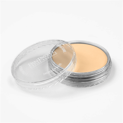 Panpastel Artists Pastel 280.8 Orange Tint