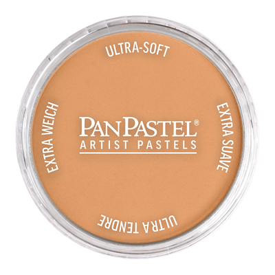 Panpastel Bronze Pz-29305