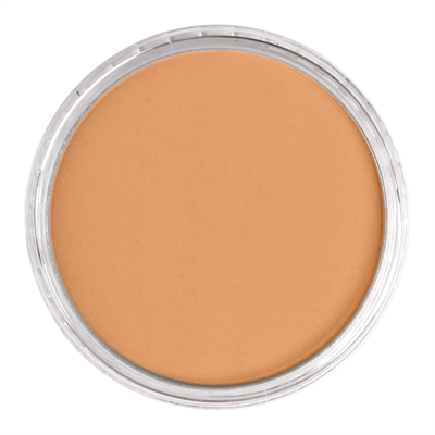 Panpastel Bronze Pz-29305