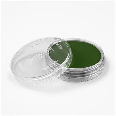 Panpastel Pz-2 Artısts Pastel Yuvarlak Kutu 9Ml 660.5 Chrome Oxıde Green