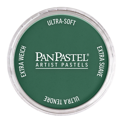 PANPASTELPANPASTEL PZ-2 ARTISTS PASTEL YUVARLAK KUTU 9ML 580.1 TURQUOISE EXTRA DARKY0003113