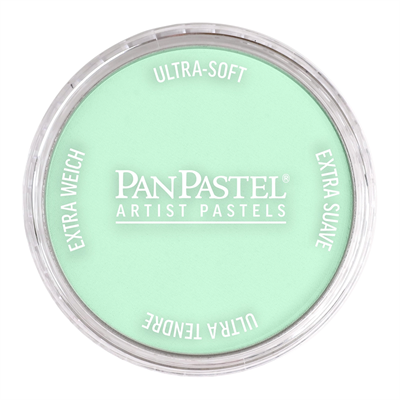 Panpastel Pz-2 Artısts Pastel Yuvarlak Kutu 9Ml 640.8 Permanent Green Tınt