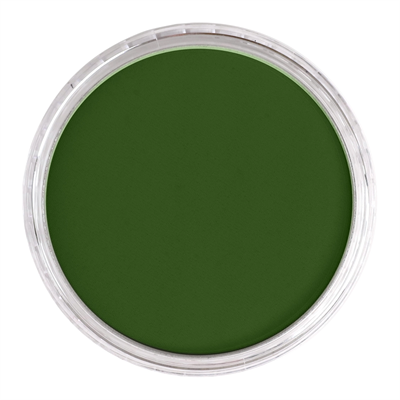 Panpastel Pz-2 Artısts Pastel Yuvarlak Kutu 9Ml 660.5 Chrome Oxıde Green