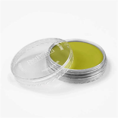 PANPASTEL PZ-2 ARTISTS PASTEL YUVARLAK KUTU 9ML 220.3 HANSA YELLOW SHADE