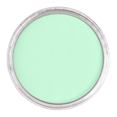 Panpastel Pz-2 Artısts Pastel Yuvarlak Kutu 9Ml 640.8 Permanent Green Tınt