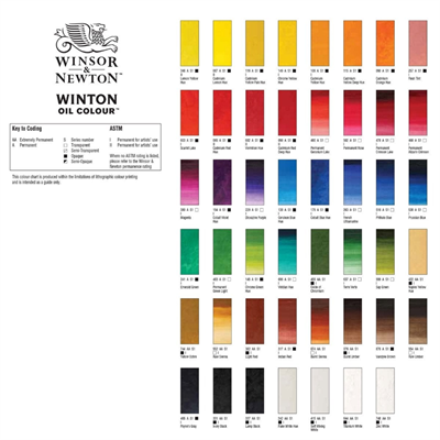 Winsor Newton Winton Yağlı Boya 37ml 331 Ivory Black (24)
