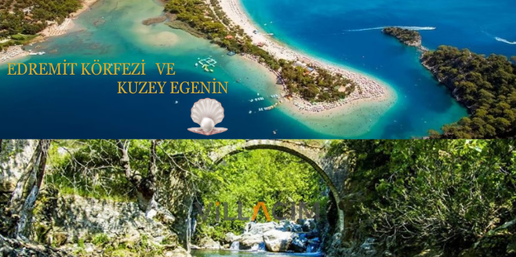 Ege ve Edremit Zeytinyağı Özellikleri