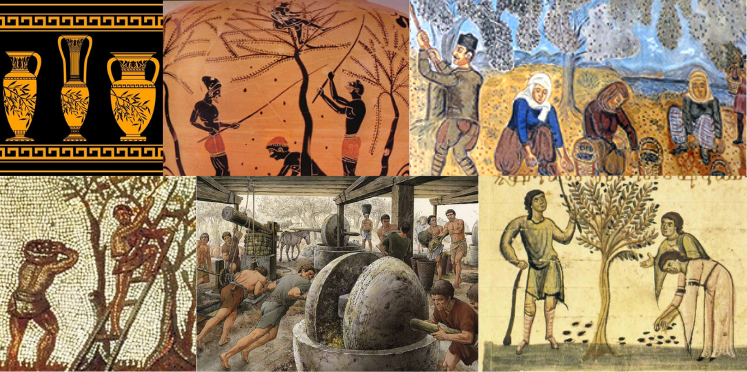 Zeytinyağının Tarihçesi ve Kültürel Bağlantıları