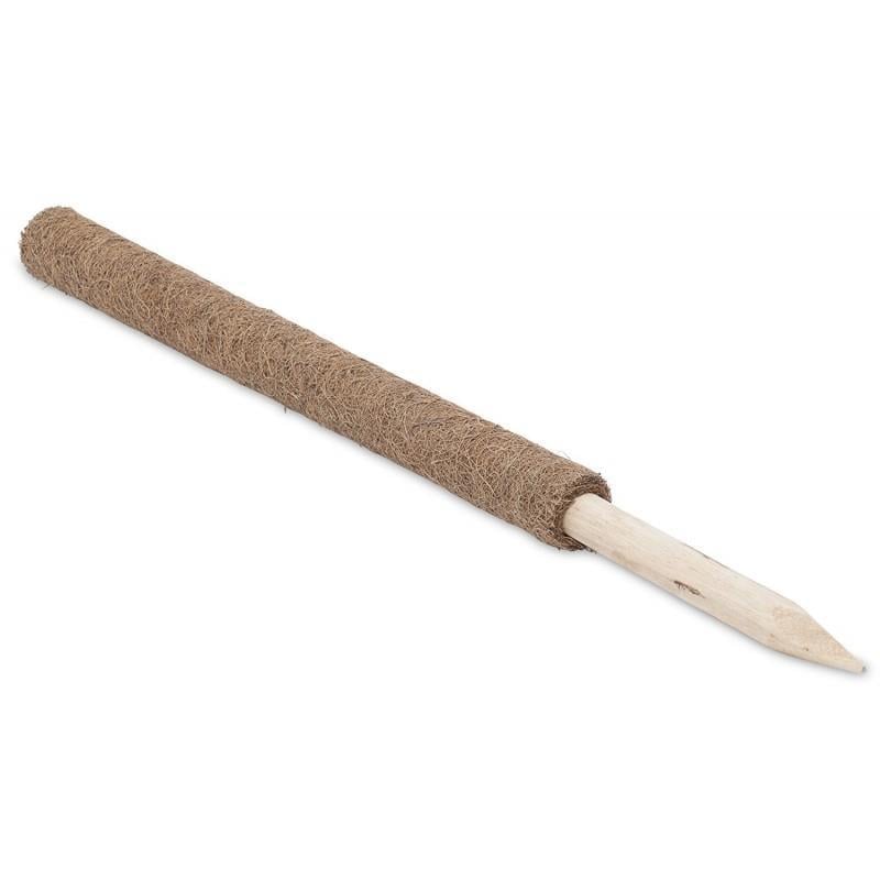 COCONUT BİTKİ ÇUBUĞU-110CM