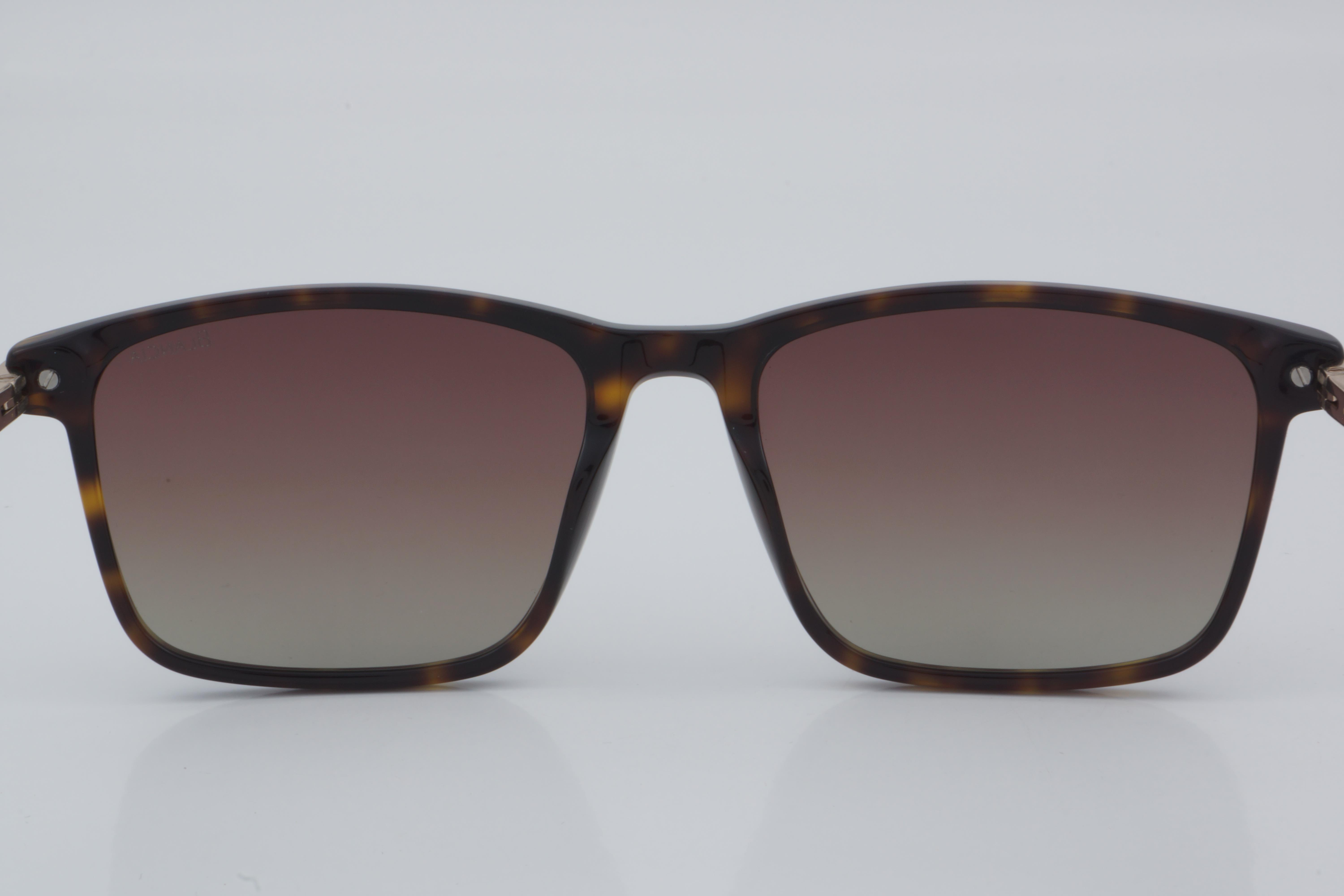 Blancia BC 1104 C2 54 - 01 Güneş Gözlüğü