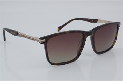 Blancia BC 1104 C2 54 - 01 Güneş Gözlüğü