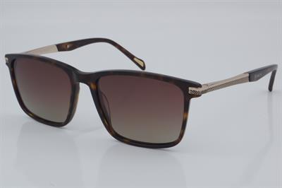 Blancia BC 1104 C2 54 - 01 Güneş Gözlüğü