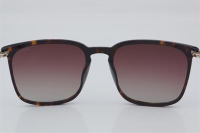 Blancia BC 1130 C2 58 - 01 Güneş Gözlüğü