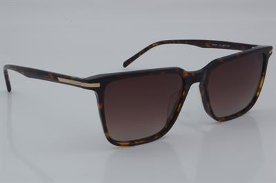 Blancia BC 1207 C2 55 - 01 Güneş Gözlüğü