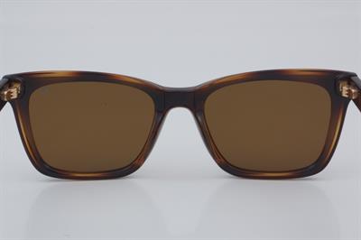 Blancia BC 1214 C2 60 - 01 Güneş Gözlüğü