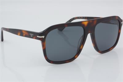 Cerruti 1881 CR 80089 02 56 - 01 Güneş Gözlüğü