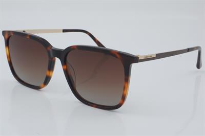 Cerruti 1881 CR 80098 02 56 - 01 Güneş Gözlüğü
