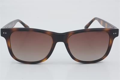 Despada DS 2060 C2 52 - 01 Güneş Gözlüğü