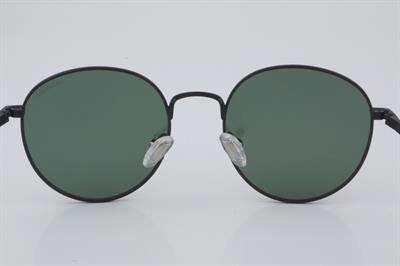 Despada DS 2166 C2 50 - 01 Güneş Gözlüğü