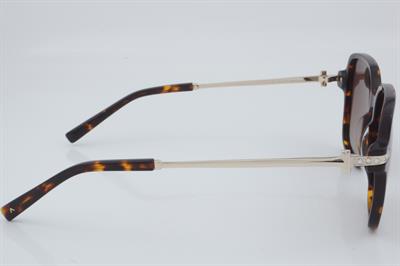 Despada DS 2443 C2 55 - 01 Güneş Gözlüğü