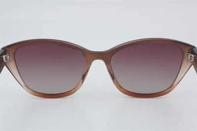 Despada DS 2445 C2 54 - 01 Güneş Gözlüğü