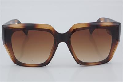 Despada DS 2115 C2 60 - 01 Güneş Gözlüğü